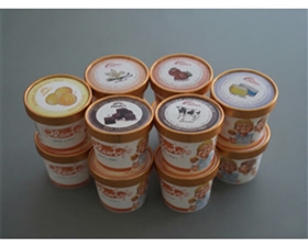 湘南 茅ケ崎プレンティーズ アイスクリーム12個入(ミルク2個、クリームチーズ、ストロベリー、バニラ、湘南ゴールド、生チョコ、クッキークリーム、コーヒー、塩キャラメル、チョコミント、抹茶)