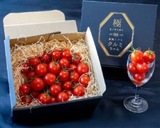 【ギフト】極高級とまとクルミちゃん　黒箱　1kg