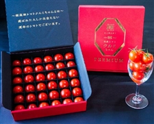 【ギフト】極高級とまとクルミちゃん　赤箱プレミアム　1kg