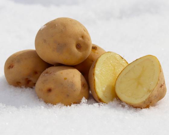 【予約】雪室じゃがいも　3種詰め合わせ 4.2kg　※出荷時期：2月上旬～