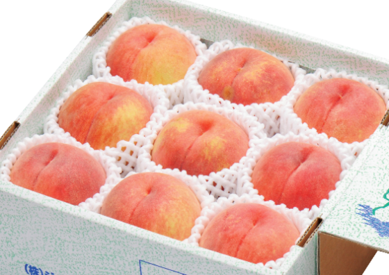 【予約】訳あり白桃　品種、玉数おまかせ 2kg ○秀　※出荷時期：8月上旬～9月上旬