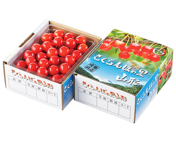 【予約】山形県産　さくらんぼ佐藤錦　バラ詰め500g　秀/L　※出荷時期：6月上旬～下旬