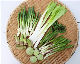庄内地方　山菜セット 山菜4種×2P　※出荷時期：3月中旬～5月上旬