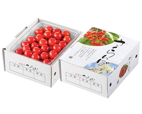 【予約】山形県産　さくらんぼ佐藤錦 約500g×1　※出荷時期：6月上旬～6月下旬