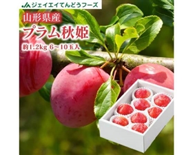 【予約】プラム（秋姫）約1.2kg　6～12玉　※出荷時期：９月上旬～９月中旬