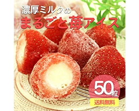 苺アイス　50個入