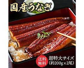特大国産うなぎ200g×2尾