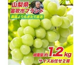 【予約】山梨県笛吹市産！シャインマスカット 500g~700g×2房