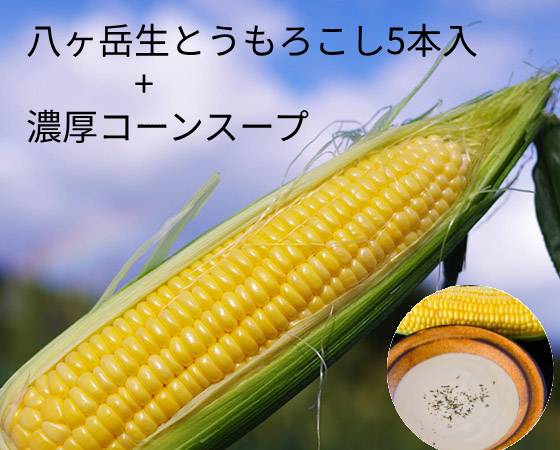 ハマラノーエン　八ヶ岳生とうもろこし5本入+濃厚コーンスープセット（プレミアムウォーター専用セット）　※出荷時期：7月下旬～8月末