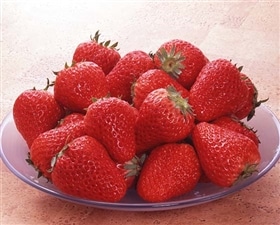 【予約】紅ほっぺ　800g（18-30粒）※出荷時期：2月上旬～下旬