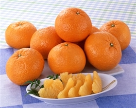 【予約】紅甘夏 3kg（8～12玉）　※出荷時期：4月上旬～中旬