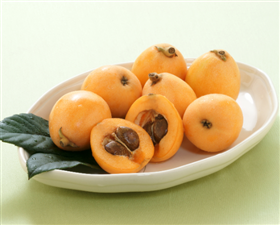 【予約】ハウスびわ(長崎県)　450g(9~12玉)　※出荷時期：4月上旬～下旬