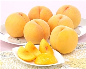 【予約】黄金桃　1.8kg(5~8玉)　お届け期間：8月上旬～下旬