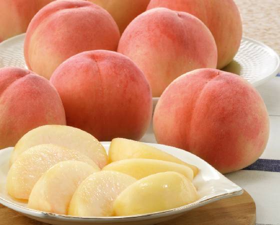 【予約】山梨の桃　1.5kg（5～7個）　※出荷時期：7月中旬～8月上旬