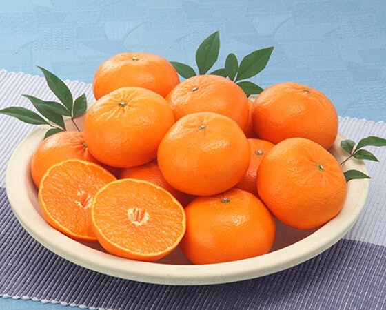 【予約】はまさき　1.8kg(8～12個)　※出荷時期：2月中旬～3月中旬