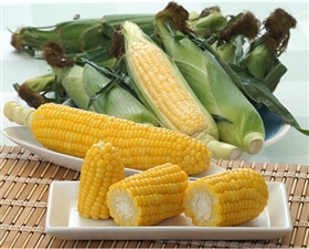 【予約】ゴールドラッシュ　山梨県産　とうもろこし　2.3kg(6～8本)　※出荷時期：6月上旬～6月中旬