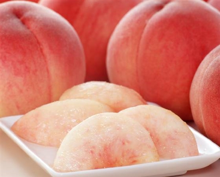 【予約】福島の桃　1.8kg（6～8個）　※出荷時期：7月下旬～8月中旬