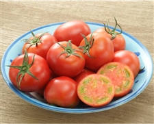 【予約】アメーラ（フルーツトマト）静岡県産　800g(8～20玉)　※出荷時期：6月上旬～6月中旬