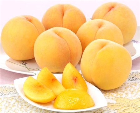 【予約】福島の黄桃　1.8kg(5～8個)　※出荷時期：8月上旬～下旬