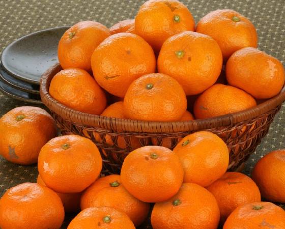 【予約】味ロマン 2.5kg(約24～42個)　※出荷時期：12月上旬～12月中旬