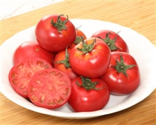 【予約】ブリックスナイン　800g(8～20個)　※出荷時期：3月下旬～4月下旬