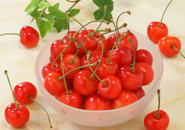 【予約】山形のさくらんぼ 500g　※出荷時期：6月上旬～下旬