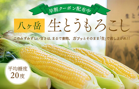 とうもころし早割