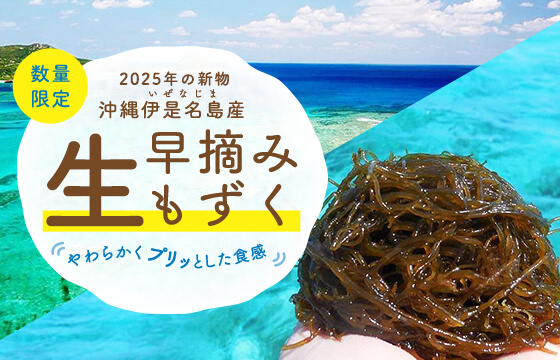 早摘みもずく